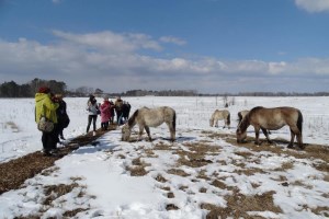 Экскурсия в экопарк Беремицкое